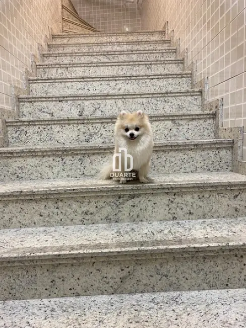 Armazém / Galpão à venda, 960m2 em Vila Nova, Santos - SP - imagem 8 Foto 8 de Armazém / Galpão à venda, 960m2 em Vila Nova, Santos - SP