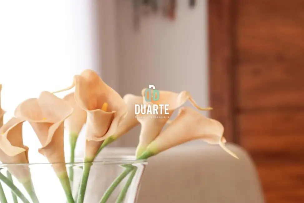 Foto 7 de Casa com 4 quartos à venda, 316m2 em Pompéia, Santos - SP