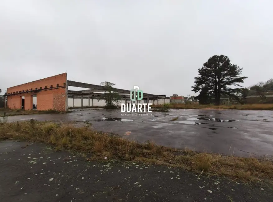 Foto 4 de Terreno / Lote à venda, 65000m2 em Rio Grande, Sao Bernardo Do Campo - SP