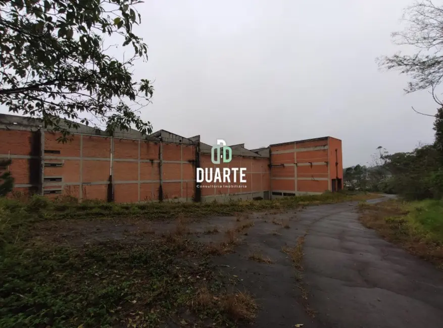 Foto 7 de Terreno / Lote à venda, 65000m2 em Rio Grande, Sao Bernardo Do Campo - SP