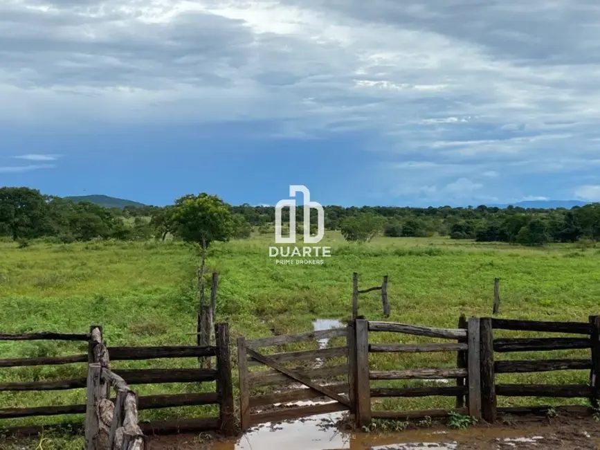 Foto 1 de Fazenda / Haras com 1 quarto à venda, 657500m2 em Setor Primavera, Formosa - GO