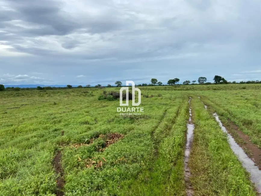 Foto 8 de Fazenda / Haras com 1 quarto à venda, 657500m2 em Setor Primavera, Formosa - GO