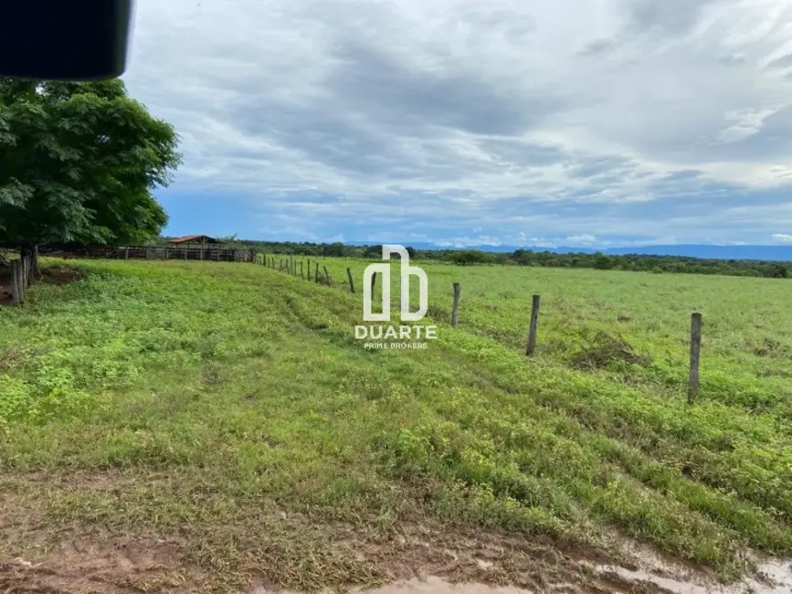 Foto 4 de Fazenda / Haras com 1 quarto à venda, 657500m2 em Setor Primavera, Formosa - GO