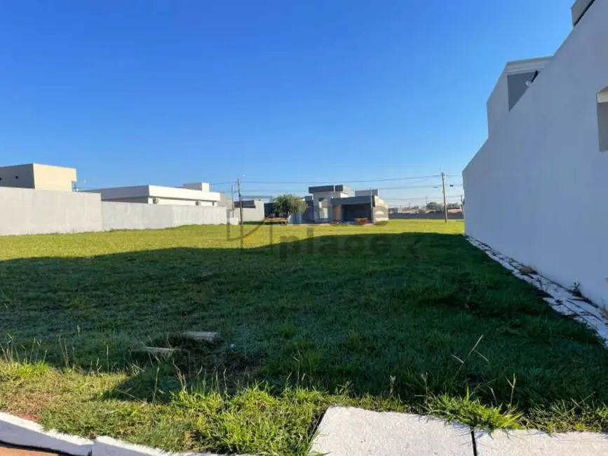 Terreno / Lote à venda, 450m2 em Bady Bassitt - SP - imagem 2 Foto 2 de Terreno / Lote à venda, 450m2 em Bady Bassitt - SP