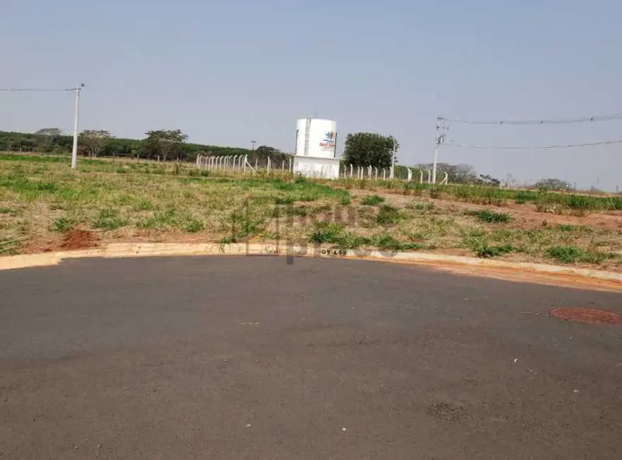 Terreno / Lote à venda, 317m2 em Bady Bassitt - SP - imagem 3 Foto 3 de Terreno / Lote à venda, 317m2 em Bady Bassitt - SP