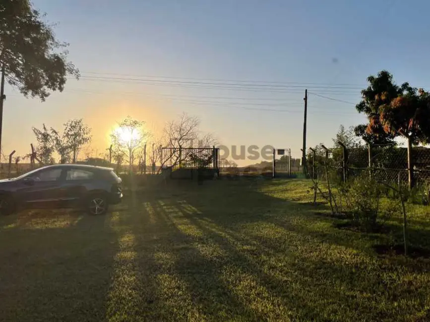 Foto 1 de Chácara com 4 quartos à venda, 2500m2 em Nova Alianca - SP