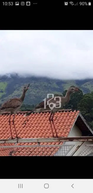 Foto 4 de Chácara com 2 quartos à venda, 1000m2 em Guaripocaba, Braganca Paulista - SP