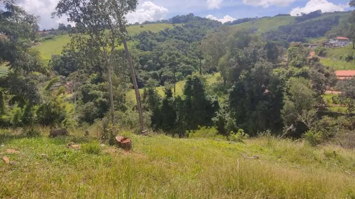 Foto 11 de Sítio / Rancho à venda em Divinolandia - SP