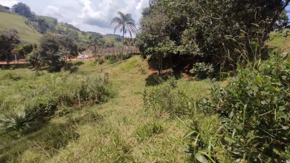 Foto 19 de Sítio / Rancho à venda em Divinolandia - SP