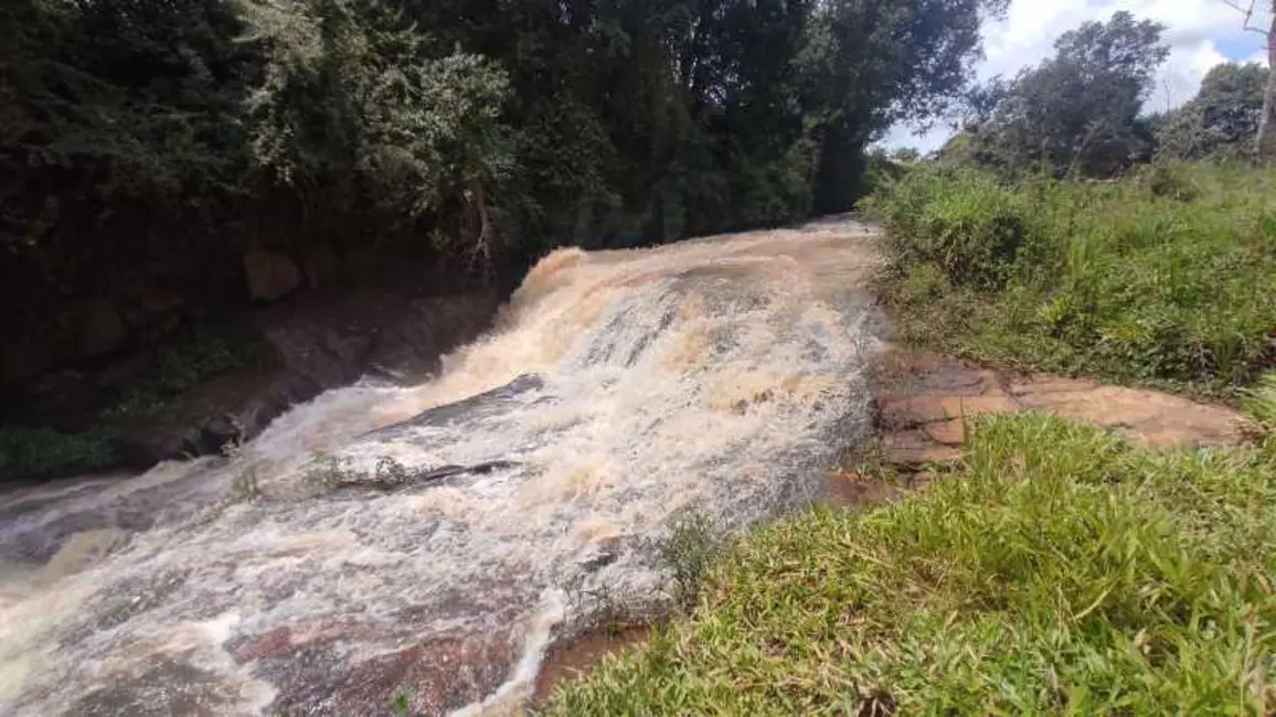 Foto 16 de Sítio / Rancho à venda em Divinolandia - SP