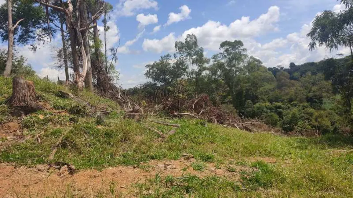 Foto 13 de Sítio / Rancho à venda em Divinolandia - SP
