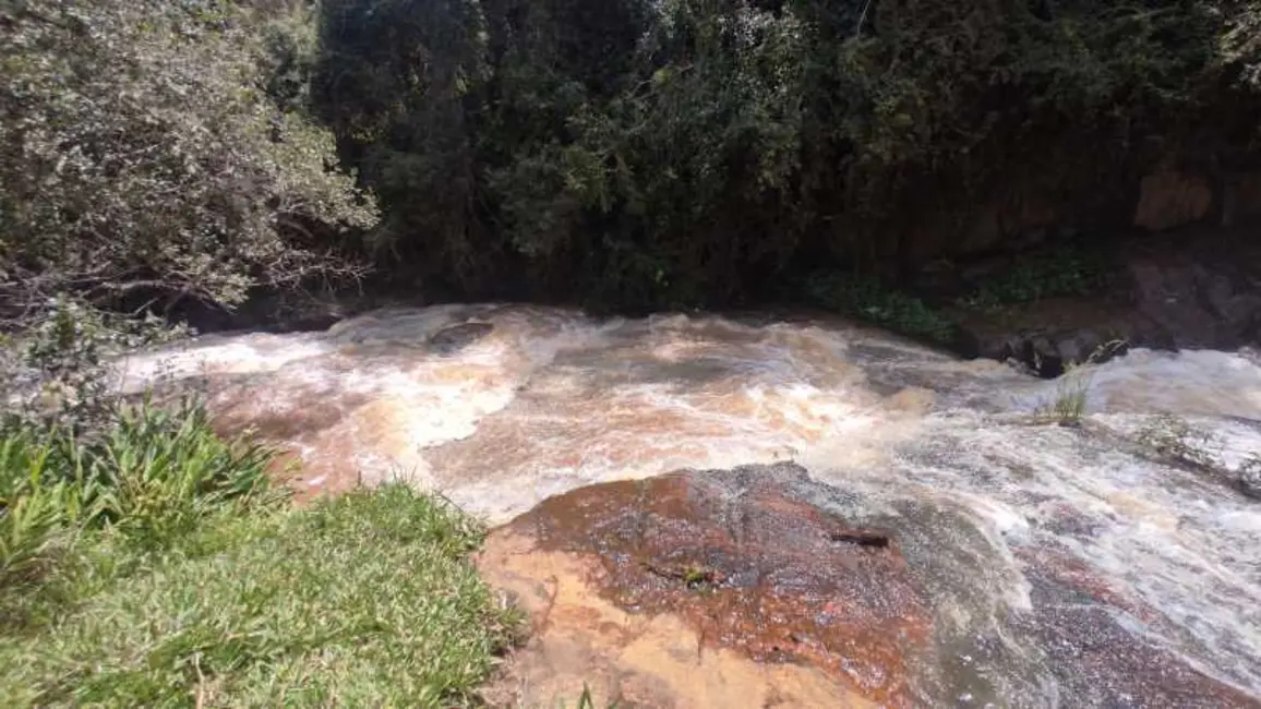 Foto 17 de Sítio / Rancho à venda em Divinolandia - SP