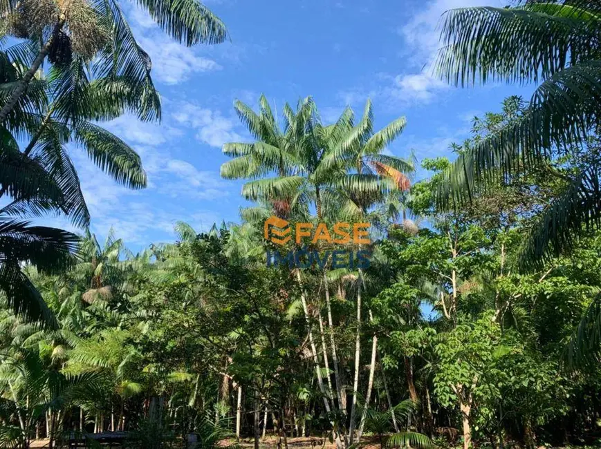 Terreno / Lote à venda, 19000m2 em Curuçambá, Ananindeua - PA - imagem 9 Foto 9 de Terreno / Lote à venda, 19000m2 em Curuçambá, Ananindeua - PA