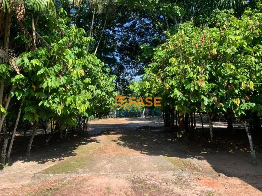 Terreno / Lote à venda, 19000m2 em Curuçambá, Ananindeua - PA - imagem 8 Foto 8 de Terreno / Lote à venda, 19000m2 em Curuçambá, Ananindeua - PA