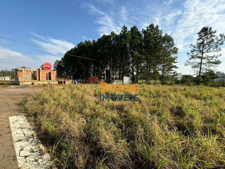 Terreno / Lote à venda, 364m2 em São Domingos, Criciuma - SC - imagem 7 Foto 7 de Terreno / Lote à venda, 364m2 em São Domingos, Criciuma - SC