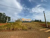 Imagem 11