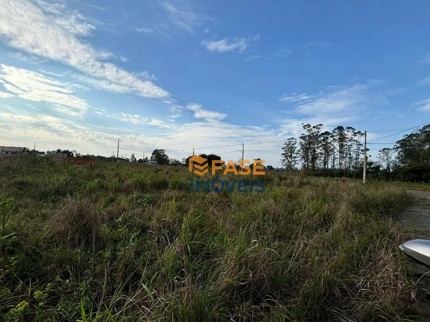 Terreno / Lote à venda, 364m2 em São Domingos, Criciuma - SC - imagem 8 Foto 8 de Terreno / Lote à venda, 364m2 em São Domingos, Criciuma - SC