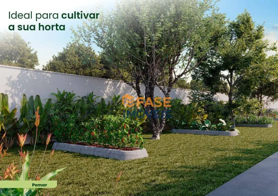 Apartamento com 2 quartos à venda, 37m2 em Águas Brancas, Ananindeua - PA - imagem 7 Foto 7 de Apartamento com 2 quartos à venda, 37m2 em Águas Brancas, Ananindeua - PA