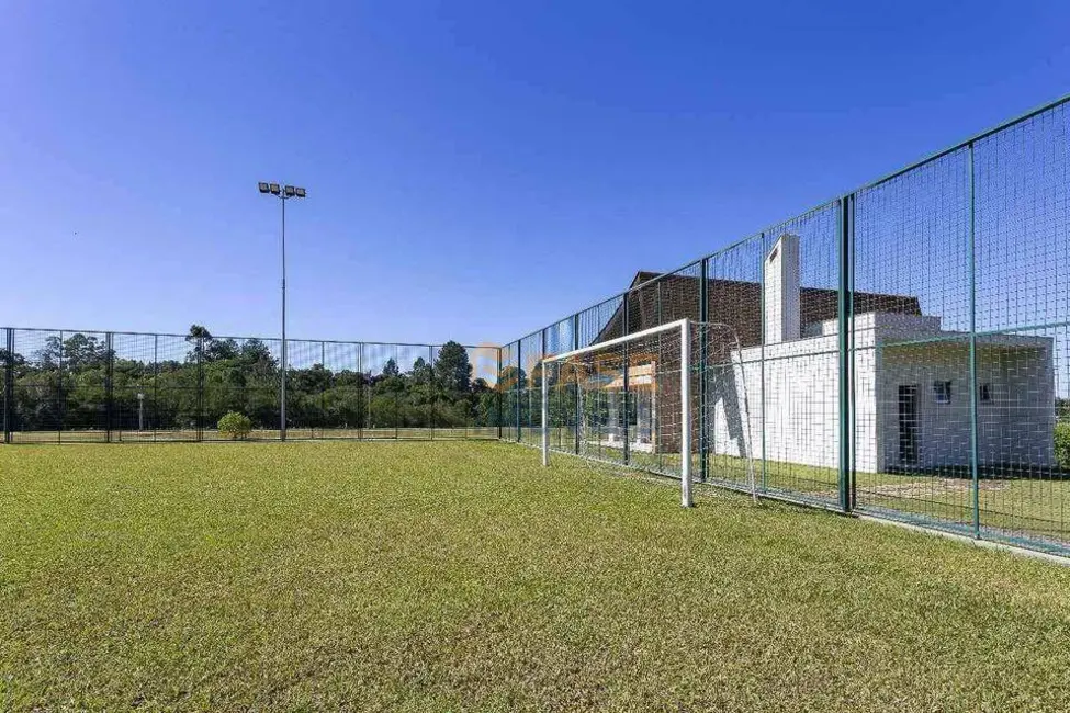 Foto 8 de Terreno / Lote à venda, 800m2 em Argentina, Criciuma - SC