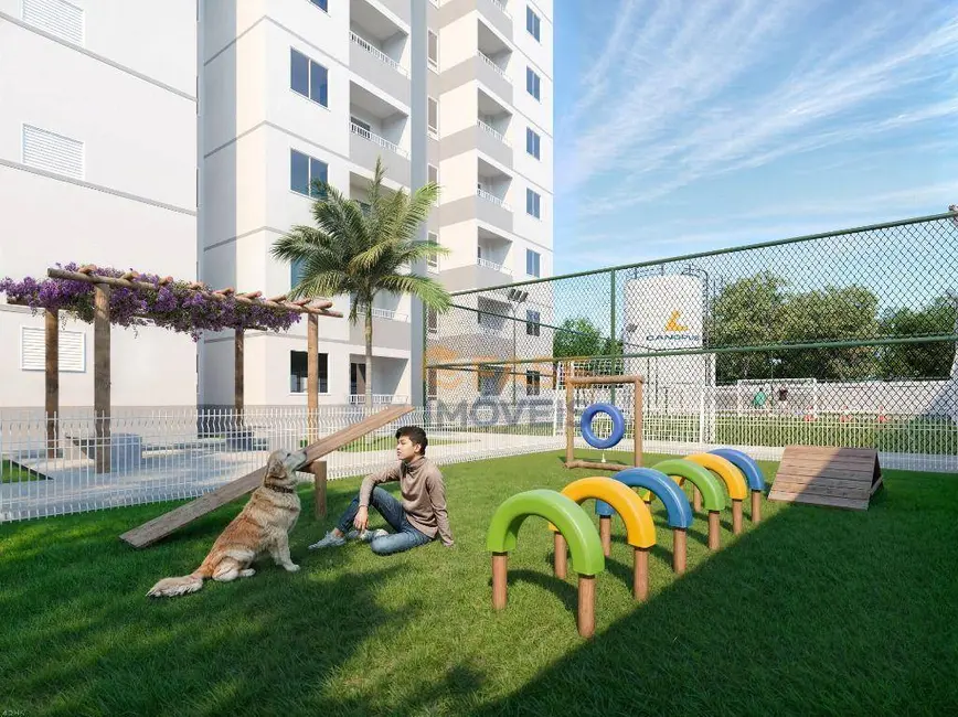 Apartamento com 2 quartos à venda, 42m2 em Coqueiro, Ananindeua - PA - imagem 5 Foto 5 de Apartamento com 2 quartos à venda, 42m2 em Coqueiro, Ananindeua - PA