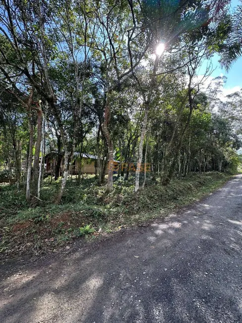 Foto 7 de Terreno / Lote à venda, 582m2 em São Simão, Criciuma - SC