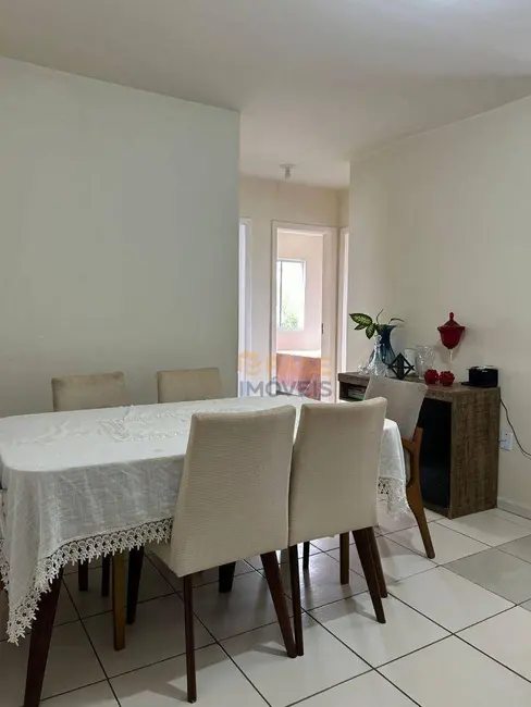 Foto 5 de Apartamento com 3 quartos à venda, 67m2 em Criciuma - SC