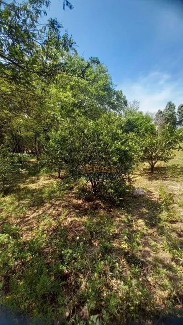 Foto 5 de Sítio / Rancho à venda, 13700m2 em Icara - SC