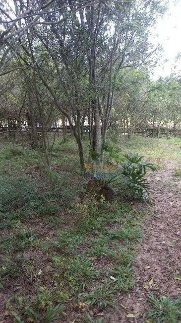 Foto 9 de Sítio / Rancho à venda, 13700m2 em Icara - SC
