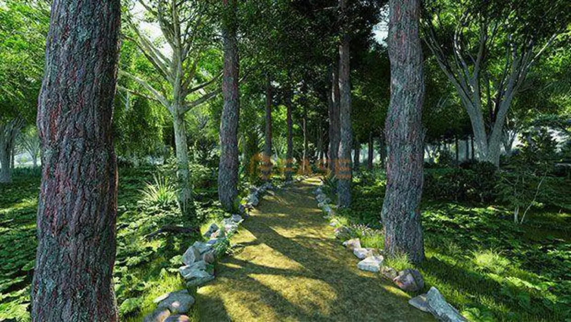 Foto 9 de Terreno / Lote à venda, 128m2 em Curuçambá, Ananindeua - PA