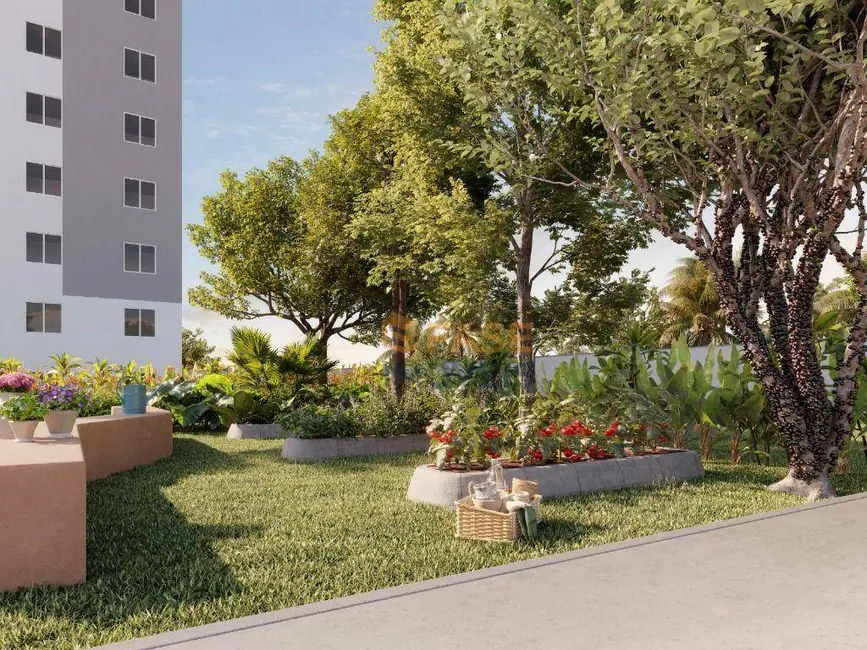 Apartamento com 2 quartos à venda, 43m2 em Águas Lindas, Ananindeua - PA - imagem 7 Foto 7 de Apartamento com 2 quartos à venda, 43m2 em Águas Lindas, Ananindeua - PA