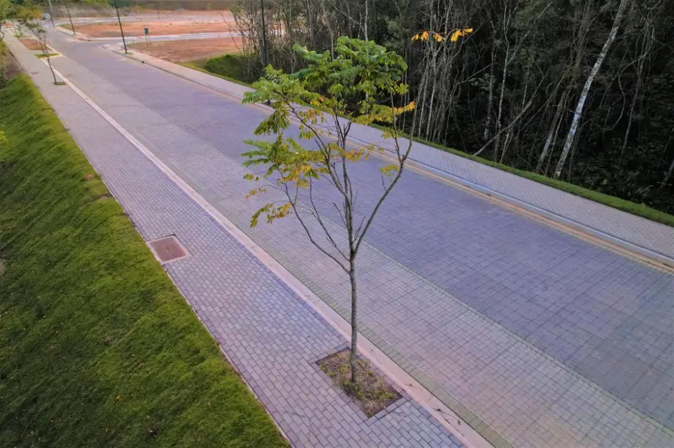 Foto 3 de Terreno / Lote à venda, 900000m2 em Camboriu - SC