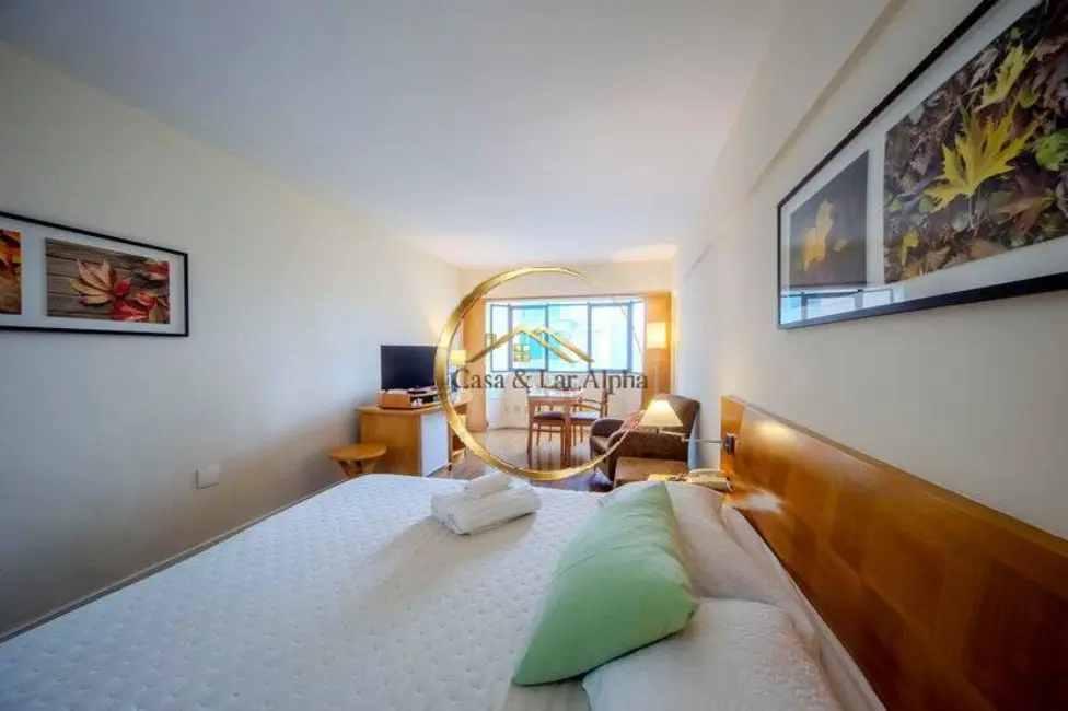 Apartamento com 1 quarto à venda, 40m2 em Barueri - SP - imagem 5 Foto 5 de Apartamento com 1 quarto à venda, 40m2 em Barueri - SP