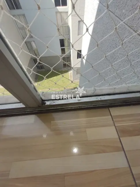 Apartamento com 2 quartos à venda, 44m2 em Parque Ipê, São Paulo - SP - imagem 8 Foto 8 de Apartamento com 2 quartos à venda, 44m2 em Parque Ipê, São Paulo - SP