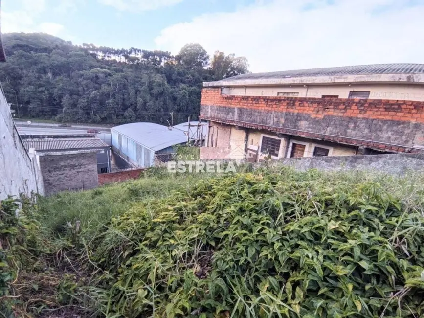 Foto 3 de Terreno / Lote à venda, 250m2 em Granja Carolina, Cotia - SP