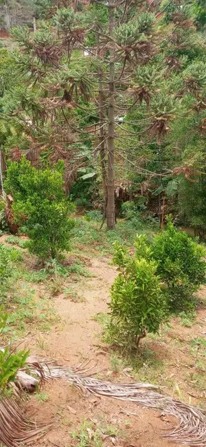 Foto 7 de Chácara à venda, 30000m2 em Marechal Floriano - ES