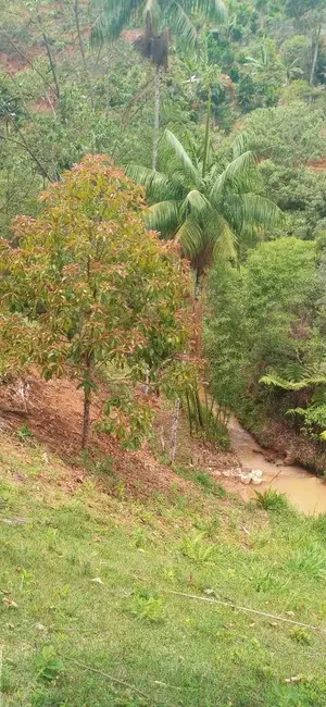 Foto 4 de Chácara à venda, 30000m2 em Marechal Floriano - ES