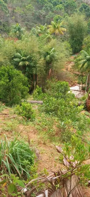 Foto 8 de Chácara à venda, 30000m2 em Marechal Floriano - ES