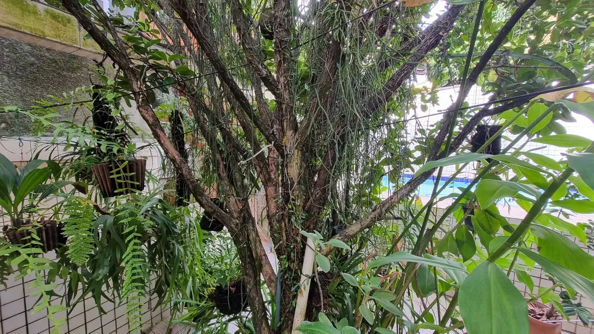 Casa com 10 quartos à venda, 560m2 em Praia da Costa, Vila Velha - ES - imagem 3 Foto 3 de Casa com 10 quartos à venda, 560m2 em Praia da Costa, Vila Velha - ES