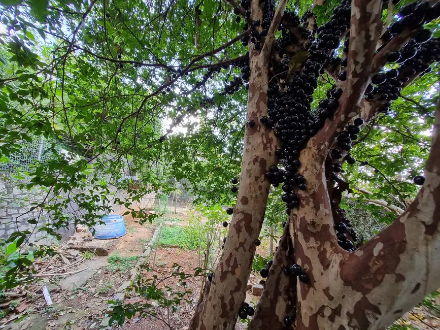 Foto 7 de Terreno / Lote à venda, 359m2 em Ferroviários, Cachoeiro De Itapemirim - ES
