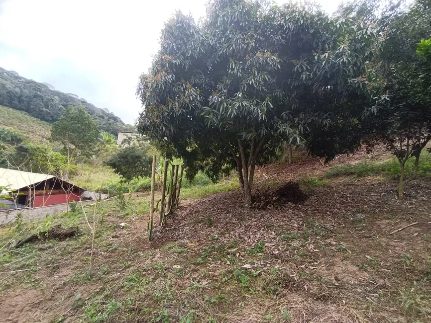 Chácara com 3 quartos à venda, 4000m2 em Domingos Martins - ES - imagem 8 Foto 8 de Chácara com 3 quartos à venda, 4000m2 em Domingos Martins - ES