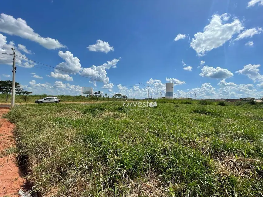 Foto 6 de Terreno / Lote à venda, 331m2 em Centro, Mirassol - SP