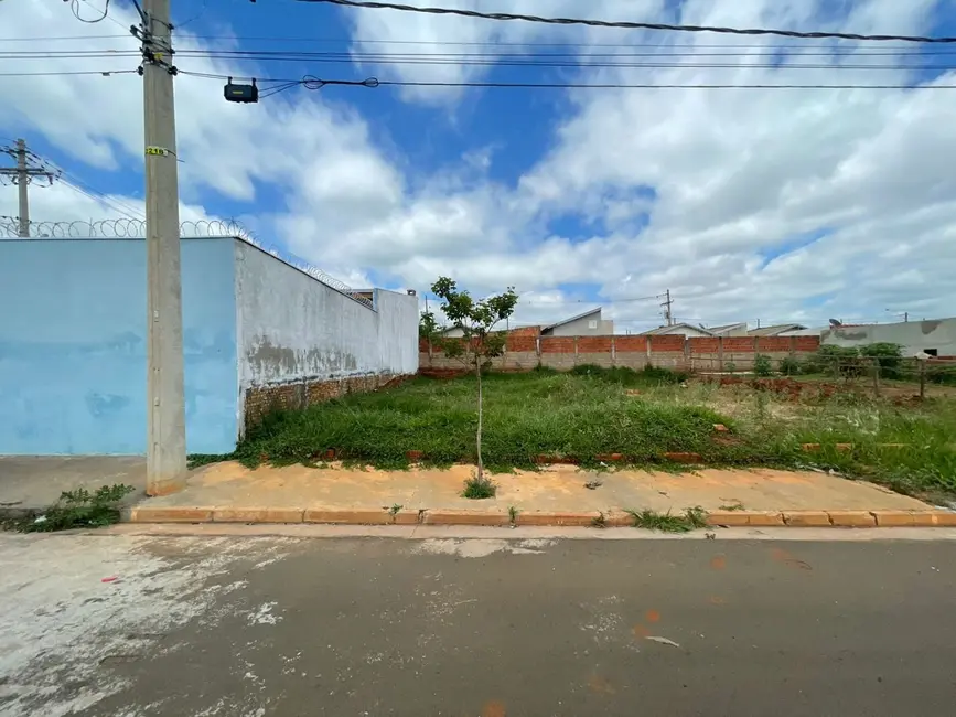 Foto 6 de Terreno / Lote à venda, 180m2 em Centro, Mirassol - SP