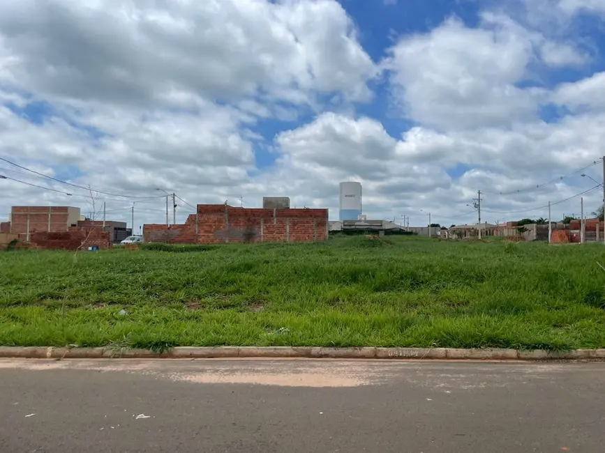 Foto 3 de Terreno / Lote à venda, 166m2 em Centro, Mirassol - SP