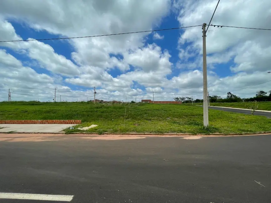 Foto 6 de Terreno / Lote à venda, 250m2 em Centro, Mirassol - SP