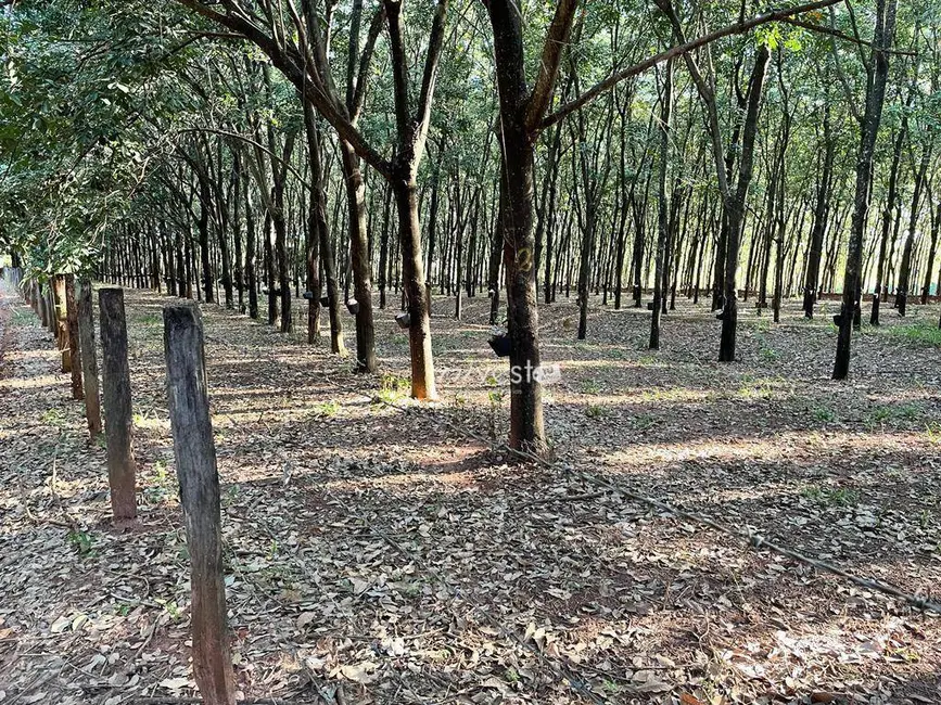 Sala Comercial à venda, 314600m2 em Bady Bassitt - SP - imagem 5 Foto 5 de Sala Comercial à venda, 314600m2 em Bady Bassitt - SP