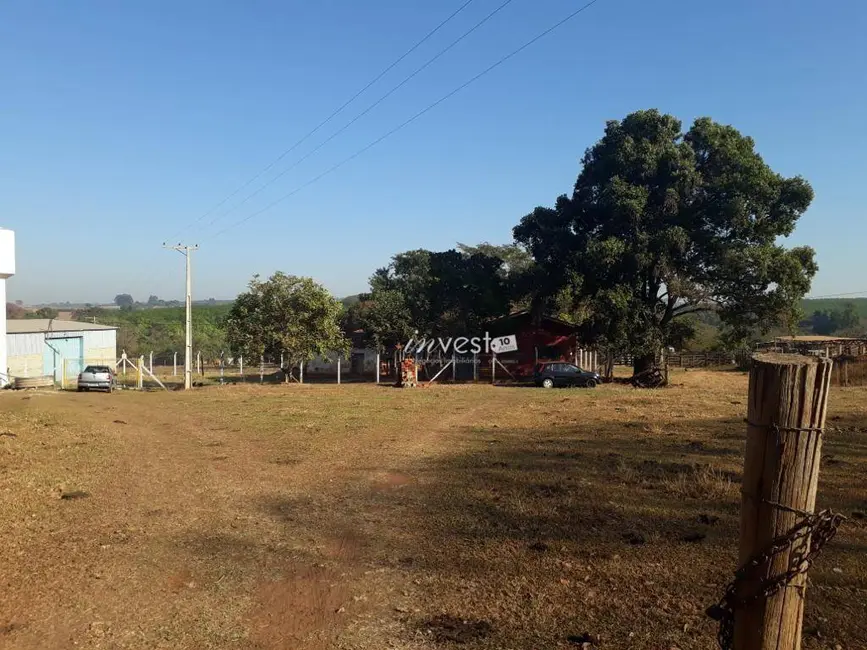 Sala Comercial à venda, 314600m2 em Bady Bassitt - SP - imagem 7 Foto 7 de Sala Comercial à venda, 314600m2 em Bady Bassitt - SP