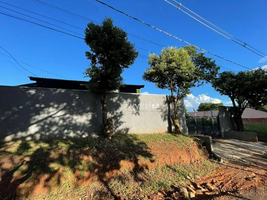 Foto 4 de Chácara com 2 quartos à venda, 1000m2 em Mirassol - SP