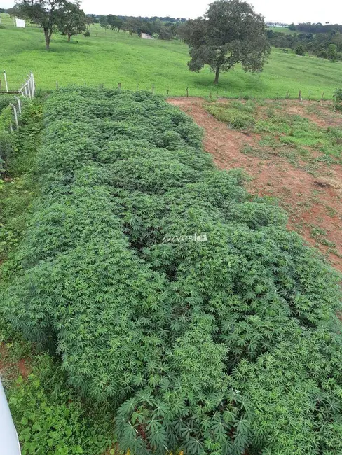 Foto 5 de Sala Comercial à venda, 20m2 em Mirassolandia - SP