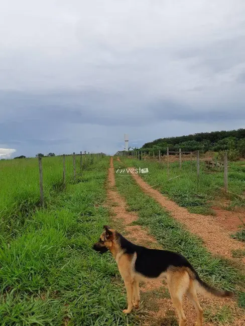 Foto 8 de Sala Comercial à venda, 20m2 em Mirassolandia - SP