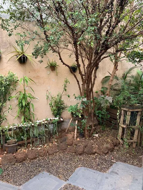 Foto 7 de Casa com 1 quarto à venda, 220m2 em Parque Residencial J. Macedo, Sao Jose Do Rio Preto - SP